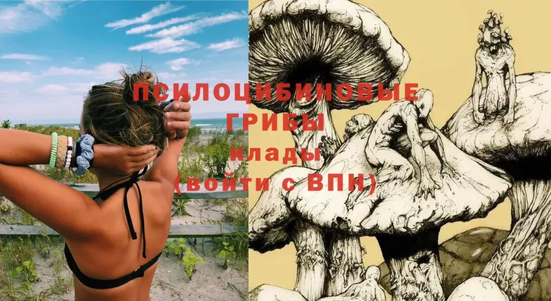 Псилоцибиновые грибы Psilocybe  Балабаново 